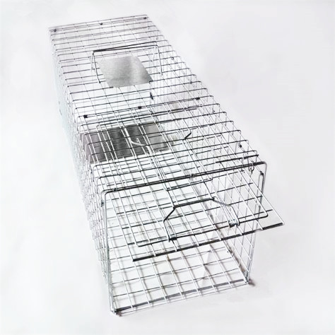 31"collapsible humane raccoon trap cage for possum & wild cat