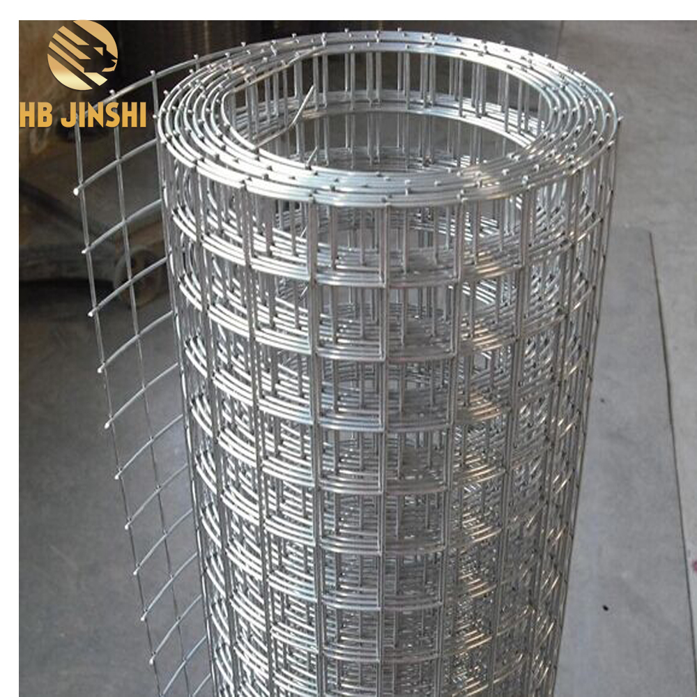 3/4"x3/4" Electro plated Welded Wire Mesh Roll