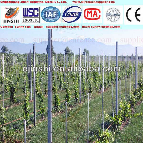 HDG150g 54x30mm 2.5mH ​​filar winorośli