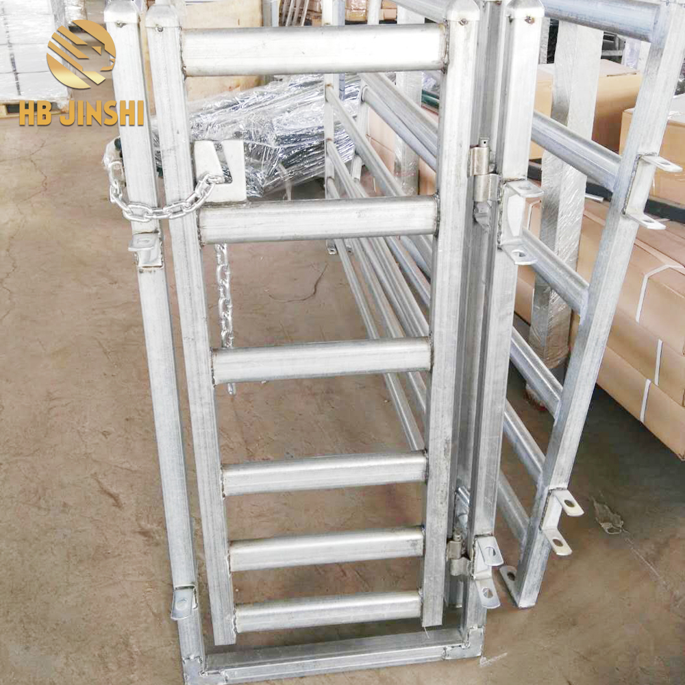 Porta e garës së deleve tip Australia 0.6×1.2m me zinxhir dhe kapëse