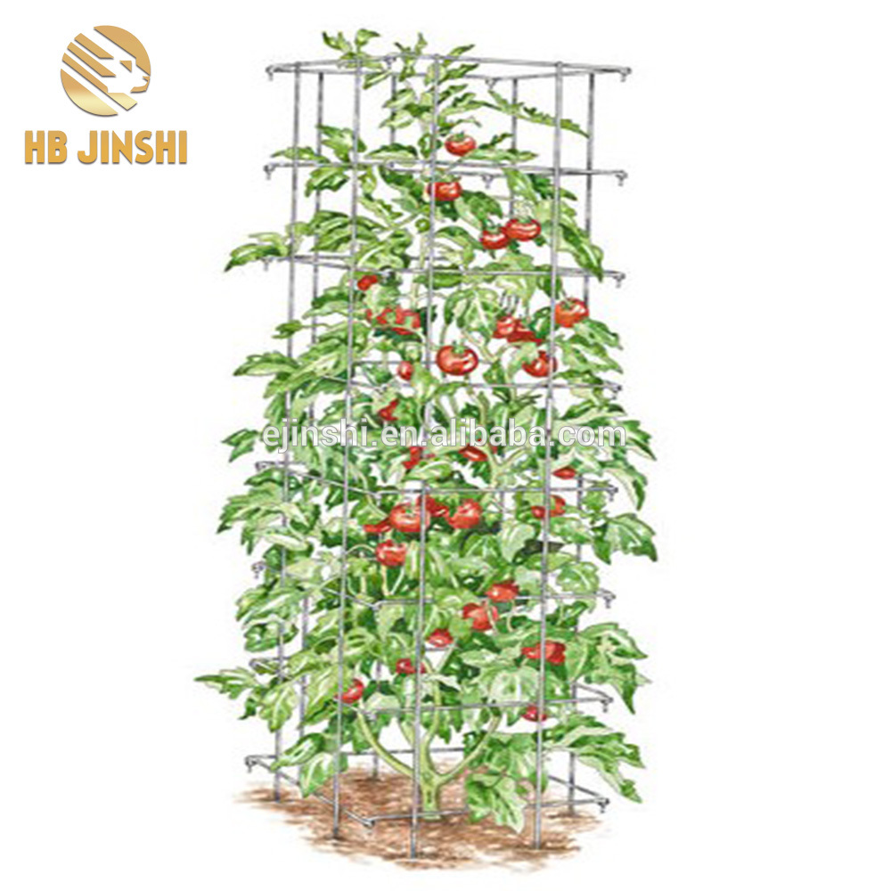 Square tomato Tower