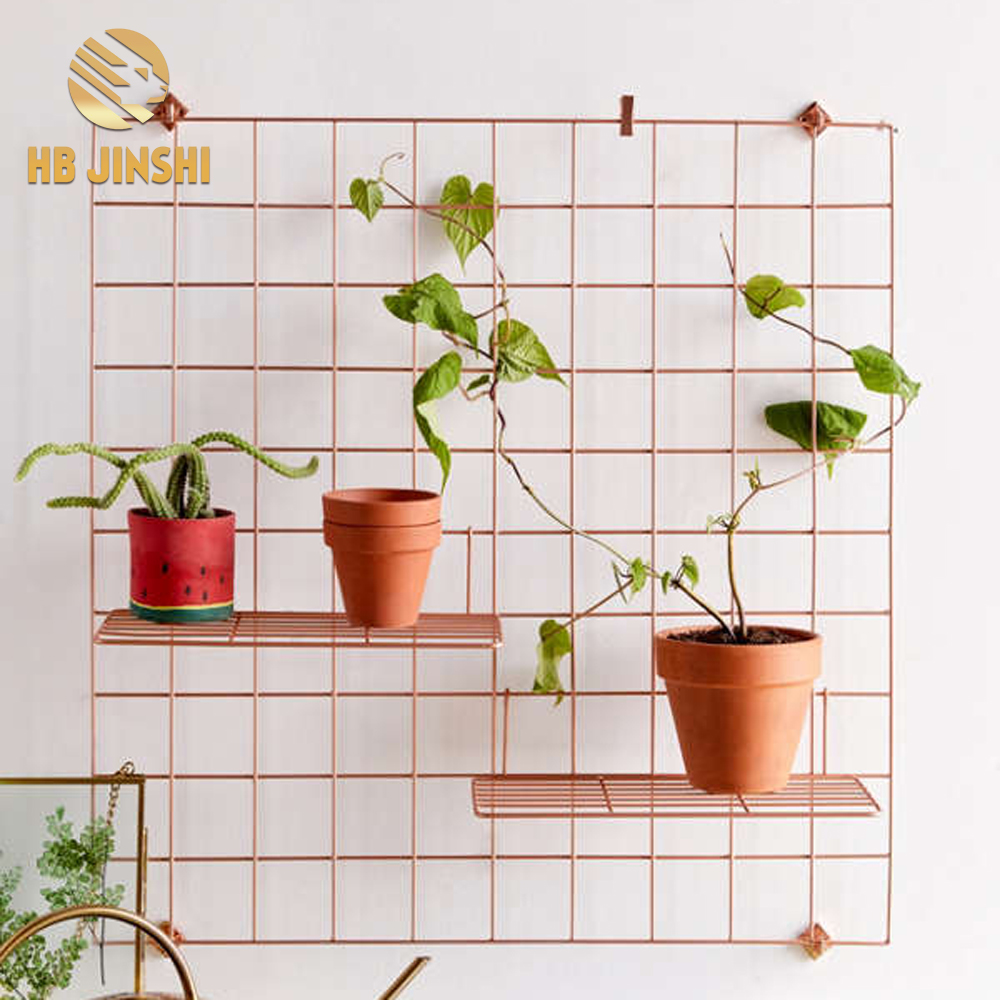 China Manufacturer for Wall Wire Grid Panel - 2PCS Grid Panel Set Grid Mesh Display Panel – JINSHI