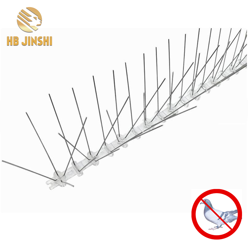 Base in PC da 50 cm SS304 Spikes Anti piccione Repeller Bird Control Bird Spikes