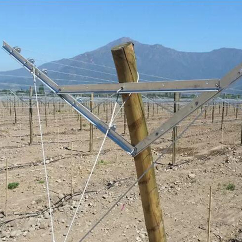 Gable Trellis vineyard thiab orchard trellis khoom siv