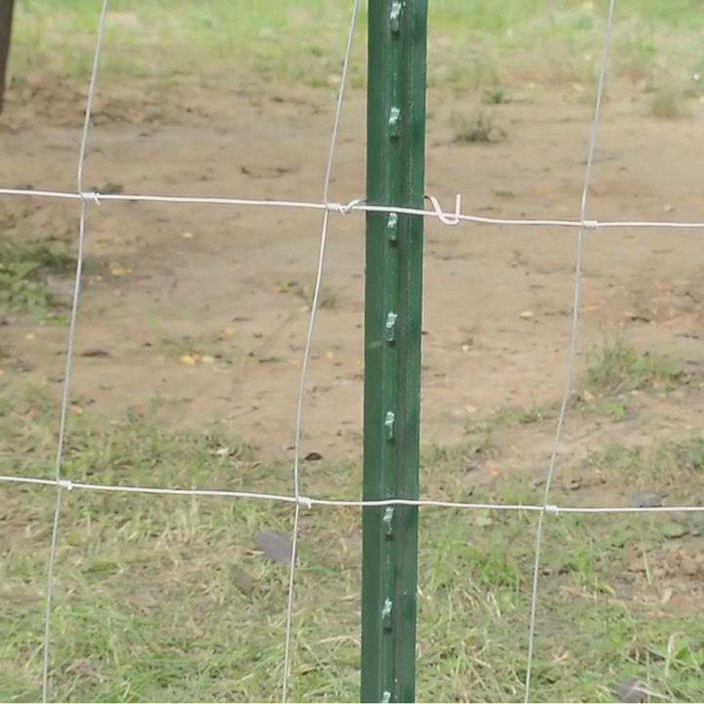 1.8mの電流を通された家畜はシカの馬のヒツジの塀の蝶番の共同農場の分野の塀を防ぎます
