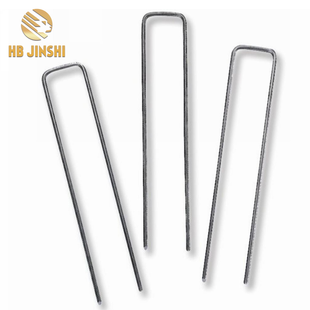 Factory Lag luam wholesale 2.5 x 15 cm 3mm Galvanized Hlau Toj roob hauv pes ntaub Pins