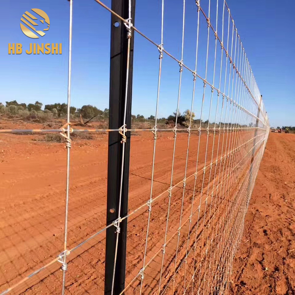 cerca galvanizada de los ciervos del alambre de la cerca del campo de la granja de los 2.4m*50m