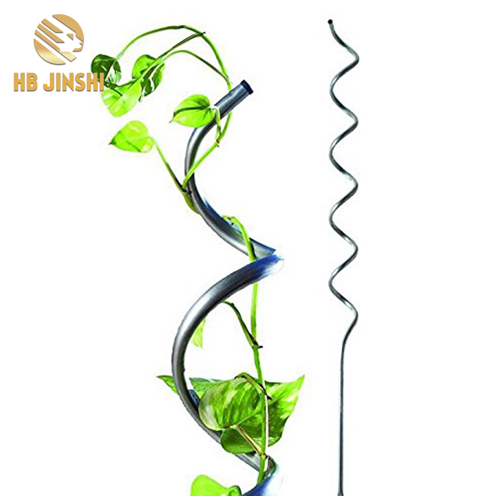 1.8m panjang Teguh baja taman tutuwuhan sayuran climbing tumuwuh rojongan spiral stakes wadah