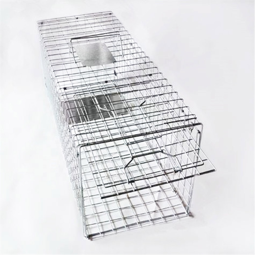 ຕູ້ໃສ່ກັບດັກກະຮອກ Heavy Duty Cage ໃຫຍ່ປະຕູດຽວ Rodent Drop Cages