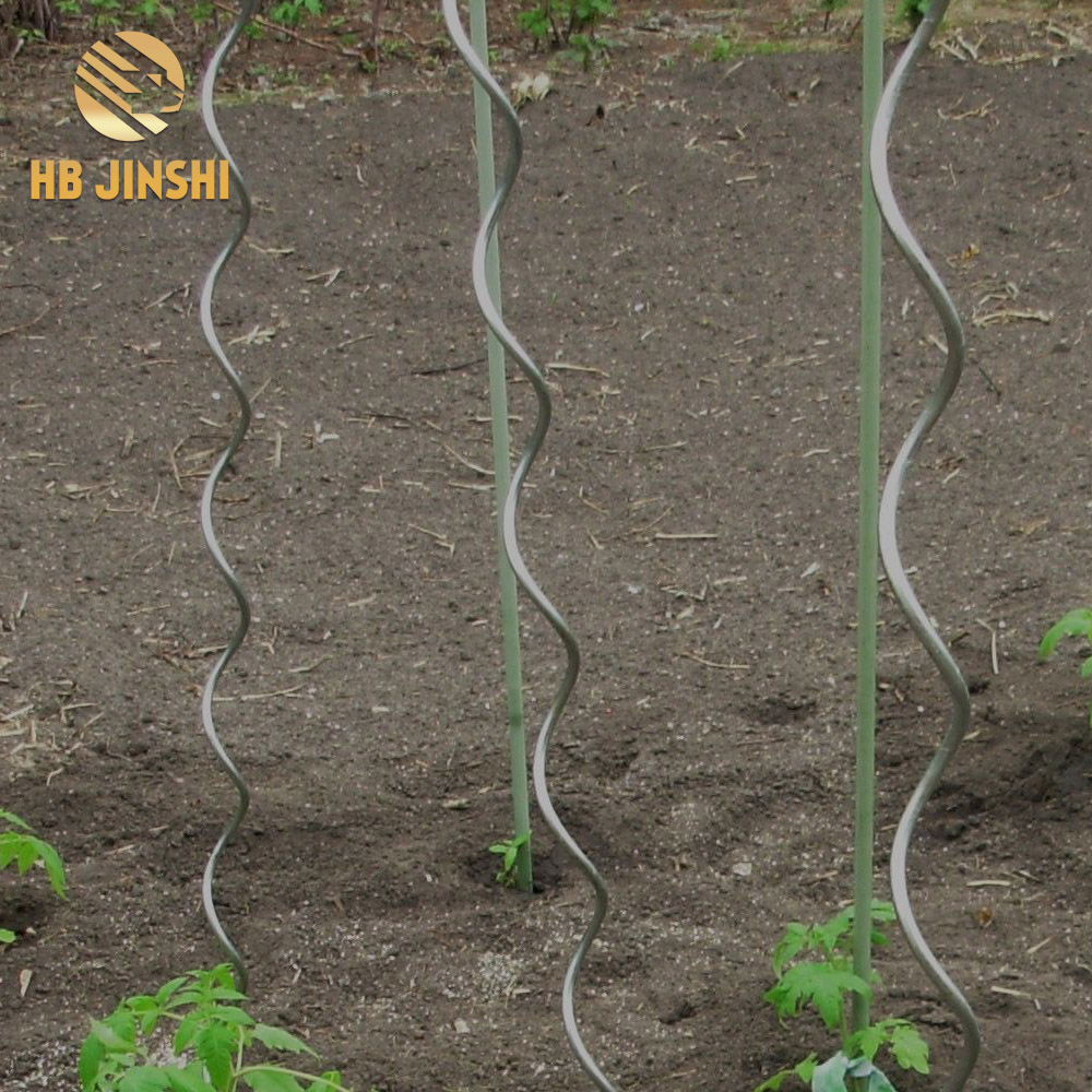 Galvanized wire 6mm- 12mm thick Spiral tomato support