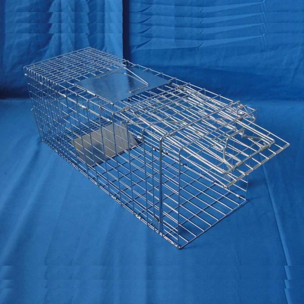 ሊሰበሰብ የሚችል የእንስሳት ወጥመድ Cage Rodent Control Wire Cage Trap