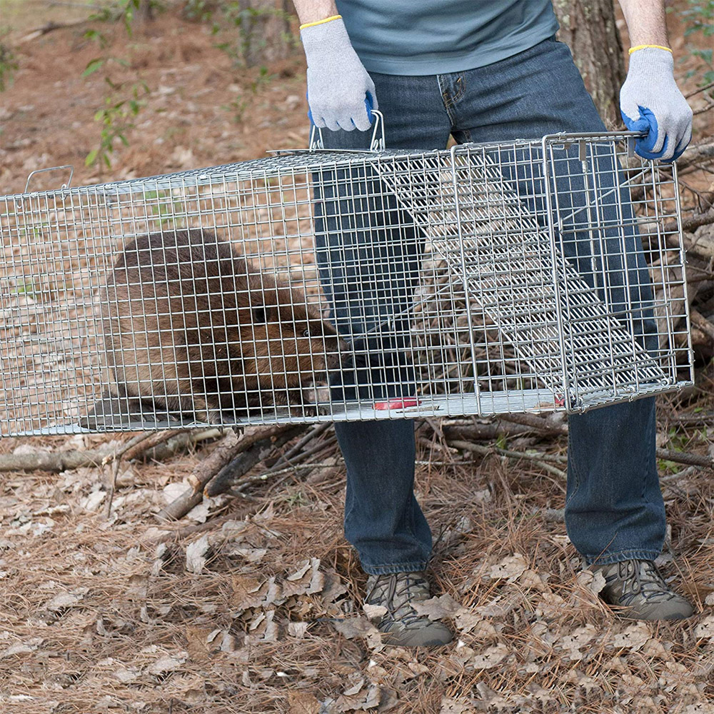 ໃສ່ກັບດັກສັດ Humane Large Steel Cage Rodent Raccoon Wire Cage Traps