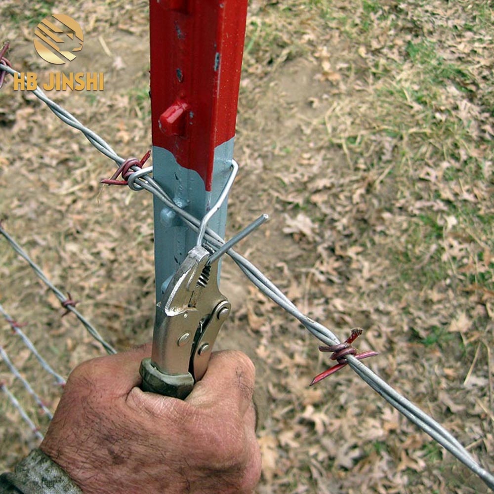 Hot Dipped Galvanized Razor Barbed Wire