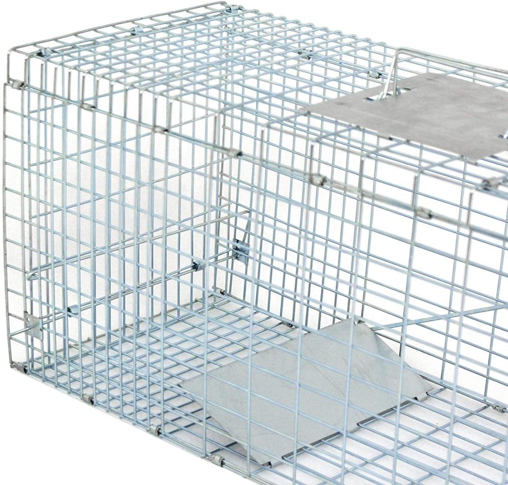 80X28X33ຊມ galvanized Collapsible Humane Trap cage