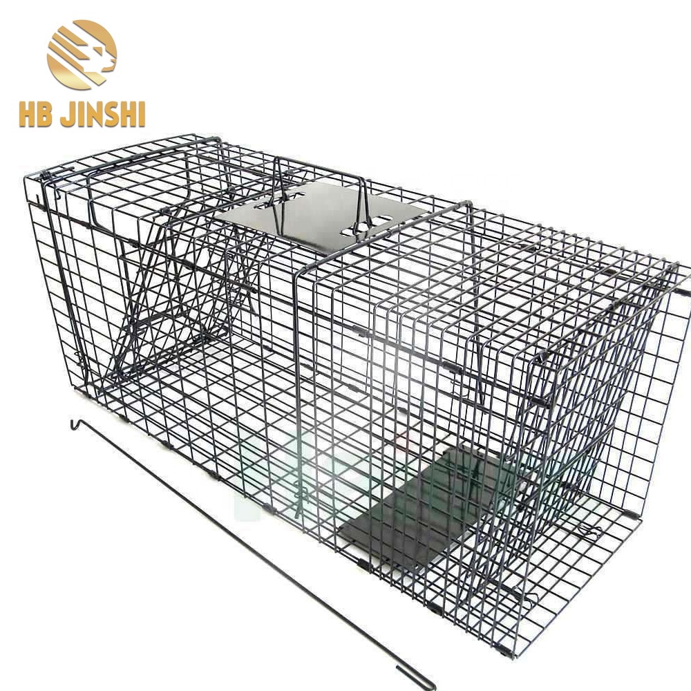 Cat Catch Metal Steel Cage na Handle Metal Trap Cage for Rodents