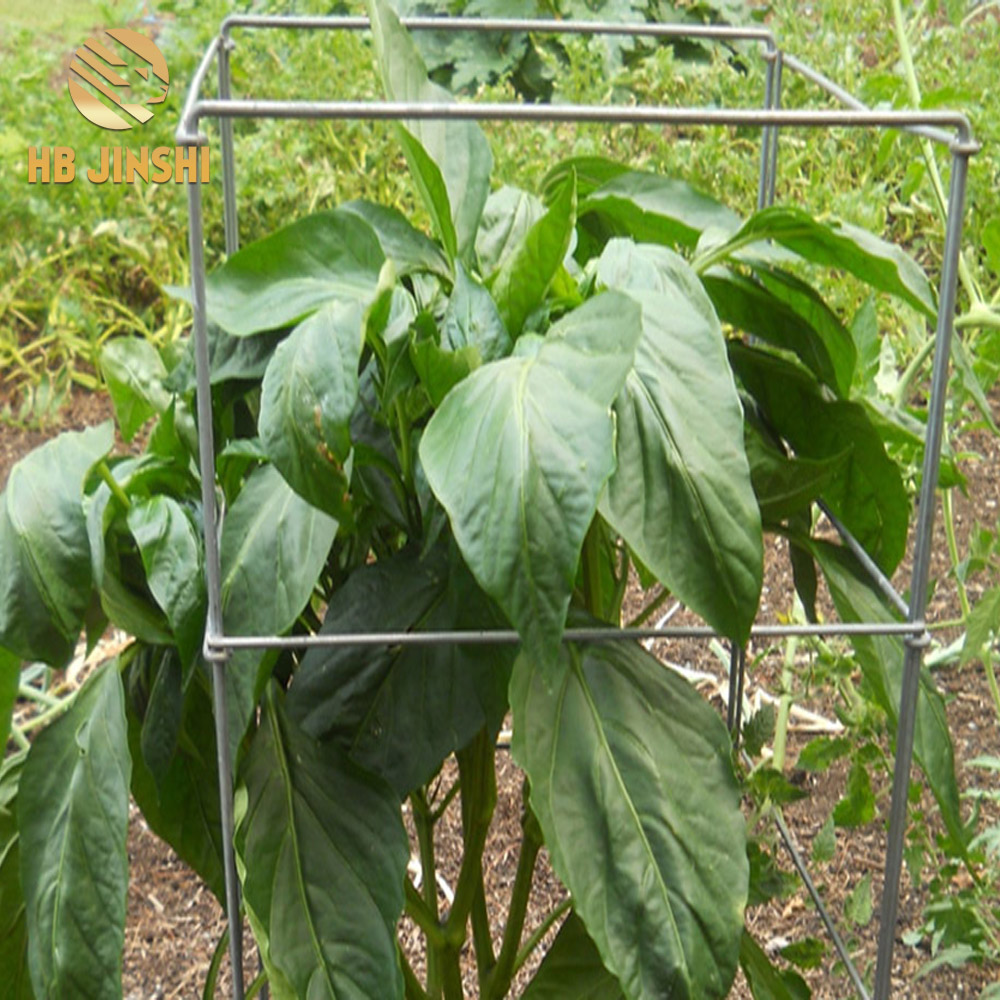 Square Folding Tomato Cage Plant Support Tower khola fakitale