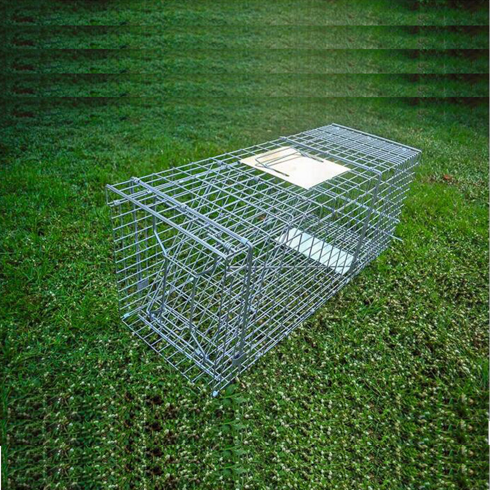 Collapsible Wild Cat Rakun Animal Trap Cage Wire Cage Trap