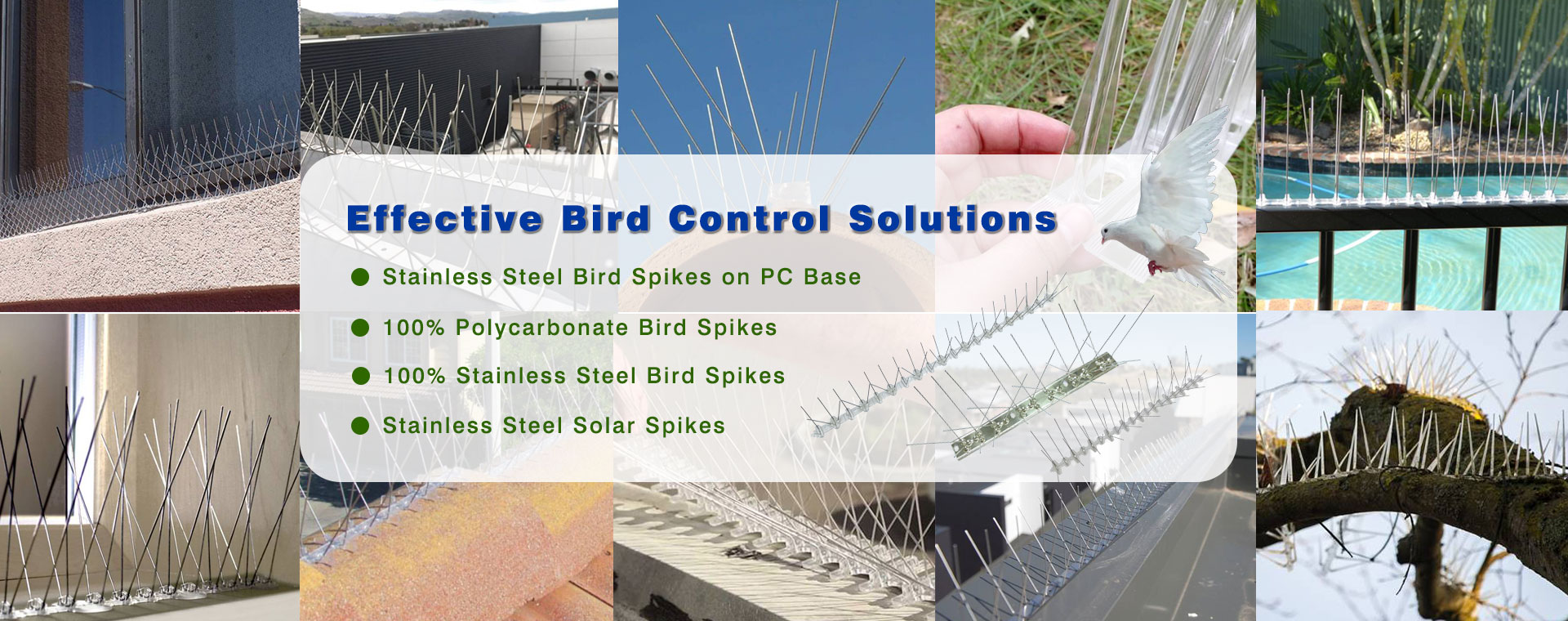 birdspike_banner