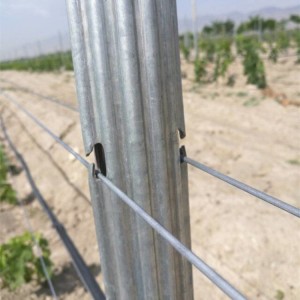 ISO9001 ISO14001 Certificate Factory Galvanized Steel Z Post Vineyard Trellis Post